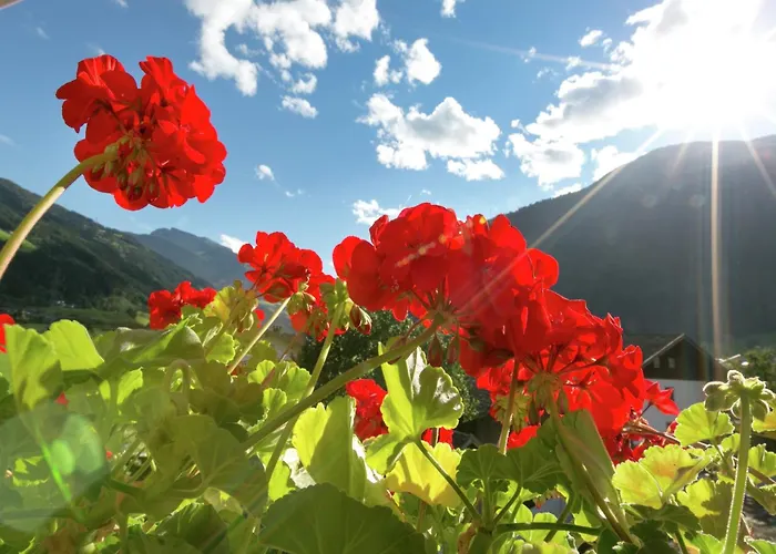 In Aschau Near Hochzillertal Aschau Im Zillertal