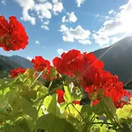 In Aschau Near Hochzillertal Aschau Im Zillertal