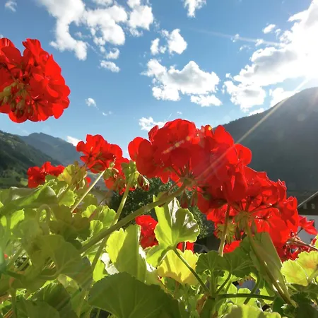 In Aschau Near Hochzillertal Aschau Im Zillertal