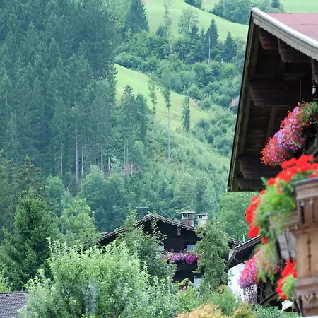 With Terrace In